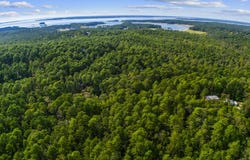 Sassafras lot: 196, Brookeland, TX 75931