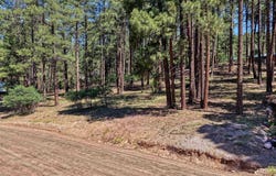 79 Spruce Way, Bayfield, CO 81122