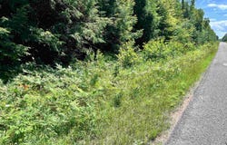 Lakeshore Drive, Ontonagon, MI 49953
