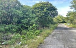 Lafac St lot: 6, Yigo, GU 96929