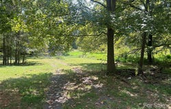 403 Catawba Avenue, Davidson, NC 28036