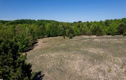 5986 PARADISE RANCH, KINGSLEY, MI 49649