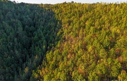 Shepard Fork Rd., West Portsmouth, OH 45663