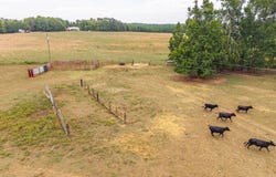 Cody Rd, Gretna, VA 24557