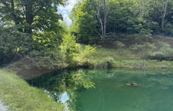 206 Sunset Pass Rd, Slatyfork, WV 26291