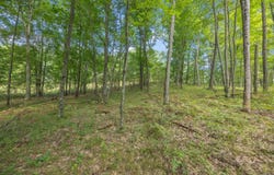 5888 US-10, Chase, MI 49623