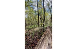 Braden Lane, Gruetli Laager, TN 37339