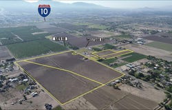 Gato, El Paso, TX 79932
