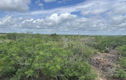 CR 1515, Moore, TX 78057