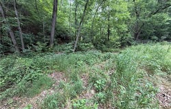 Highway DD, Seligman, MO 65745