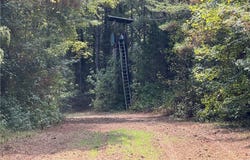 90 Lewis Lane, Edgefield, SC 29824