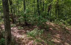 Clearview Drive, Jasper, GA 30143