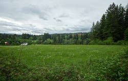 NE 389th St, Amboy, WA 98601