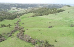 Egypt Loop Rd. E, Davenport, WA 99122
