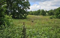 8475 Ross Road, Muir, MI 48860
