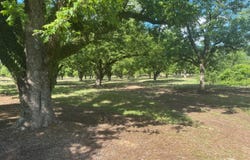 Highway 18, Raymond, MS 39154