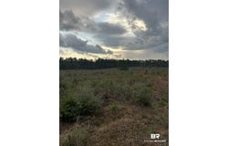 US Highway 29, Brewton, AL 36426