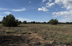 59se Rocky Rabbit Road, Ash Fork, AZ 86320