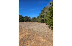 6 Jacklyn Lane, Diana, TX 75640