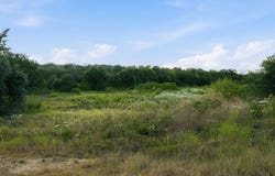 TBD Lot 16 Stockyard Rd, Bertram, TX 78605