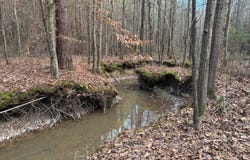 Mount Calvary Church Road, Louisville, MS 39339