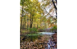 5555 Mast Road, Webster Twp, MI 48130