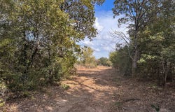 Walter Hoffman Rd, Bastrop, TX 78602