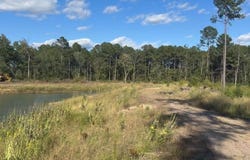 563 Sandridge Road, Dorchester, SC 29437