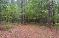 Bushtown Road, Pinola, MS 39149