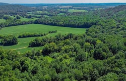 Cecil Croft Road, Salem, KY 42078