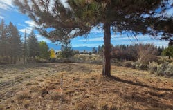 Irving Way, Chiloquin, OR 97624