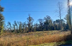 1169 Ole Springs Road, Summit, MS 39666