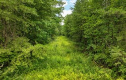 52.88 AC Nashville Hwy, Deer Lodge, TN 37726
