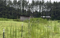 County Rd 42, Calhoun, TN 37309