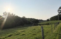 Wilkerson Road, Adolphus, KY 42120