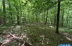 TM36-5b GARTH RUN RD lot: 5B, MADISON, VA 22727
