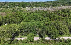 Case Road, Canandaigua, NY 14424