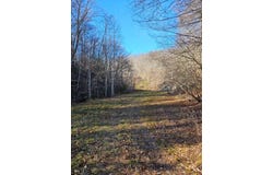 1700 Beech Grove Road, Isonville, KY 41149