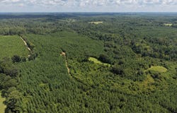 1600 Deer Run Rd, Dixons Mills, AL 36736