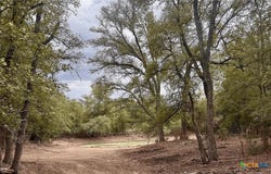 12 Acres Mt. Pleasant Rd, Cedar Creek, TX 78612