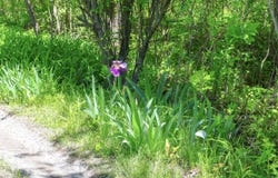 7133 US Highway 12, Three Oaks, MI 49128