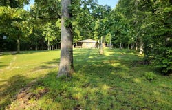 531 Flat Rock RD, Mountain View, AR 72560