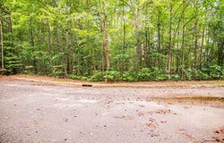 Downs Brook Dr lot: 14, Roanoke Rapids, NC 27870
