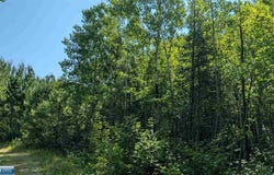 Kennedy Road, Cook, MN 55723