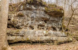 County Road 19-A, Alton, MO 65606