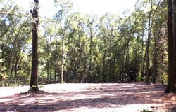 Murray Heights Drive, Irvington, AL 36544