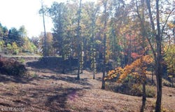 Whitetail Lane, LaFollette, TN 37766