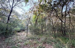 LCR 894, Groesbeck, TX 76642