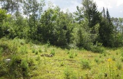 71 Overlook Lane, Westmore, VT 05860