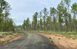 154910 Tract 15 FM 844, Huntington, TX 75949